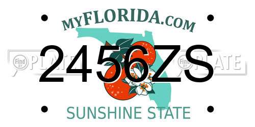 2456ZS Florida License Plate
