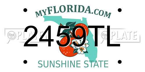 2459TL Florida License Plate