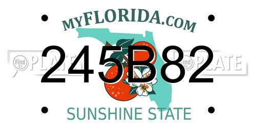 245B82 Florida License Plate
