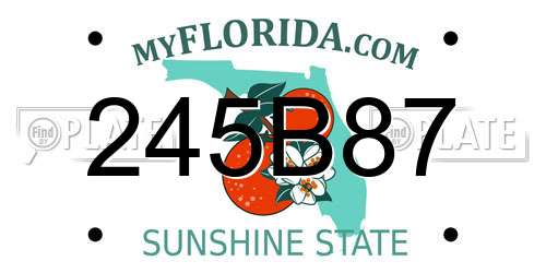 245B87 Florida License Plate