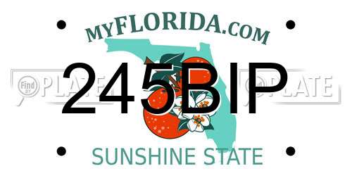 245BIP Florida License Plate