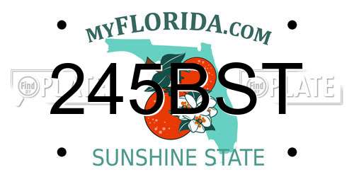 245BST Florida License Plate
