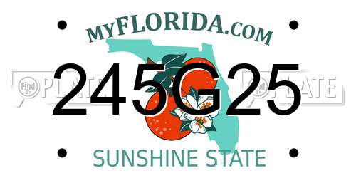 245G25 Florida License Plate