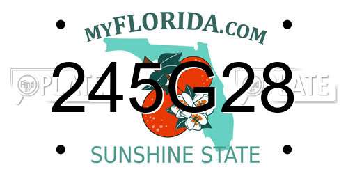 245G28 Florida License Plate