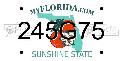 245G75 Florida License Plate