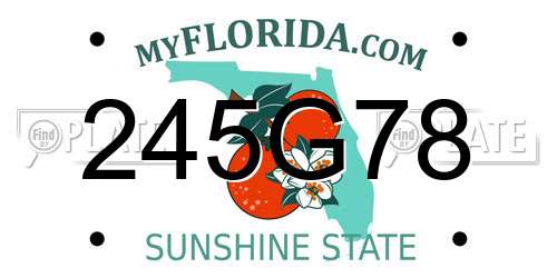 245G78 Florida License Plate