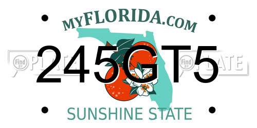 245GT5 Florida License Plate