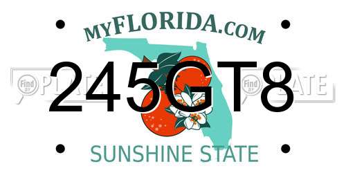 245GT8 Florida License Plate
