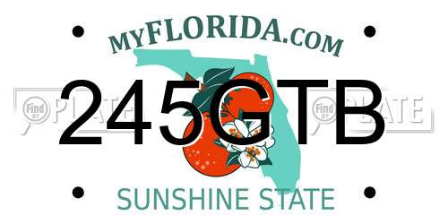 245GTB Florida License Plate