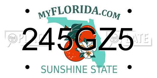 245GZ5 Florida License Plate