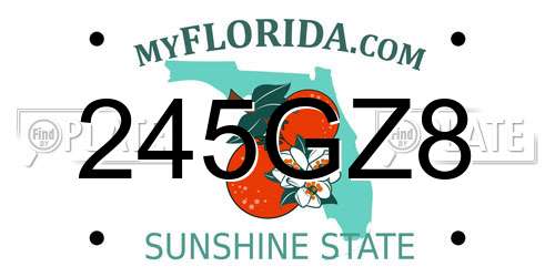 245GZ8 Florida License Plate