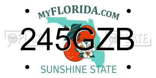 245GZB Florida License Plate
