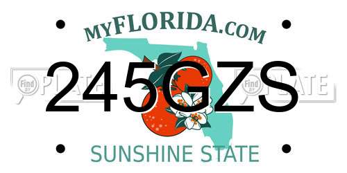 245GZS Florida License Plate