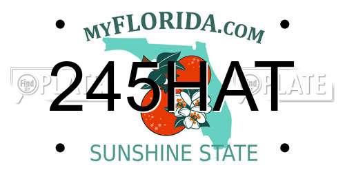245HAT Florida License Plate