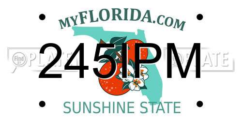245IPM Florida License Plate