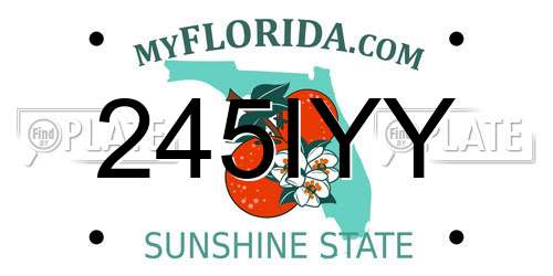 245IYY Florida License Plate