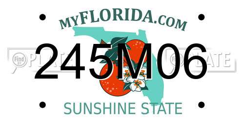 245M06 Florida License Plate