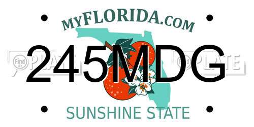 245MDG Florida License Plate