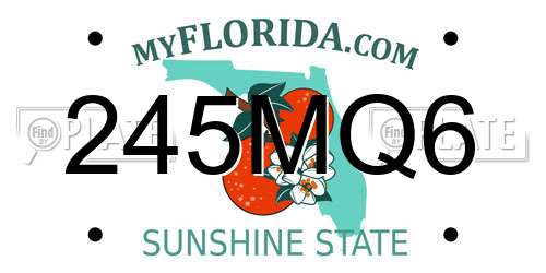 245MQ6 Florida License Plate