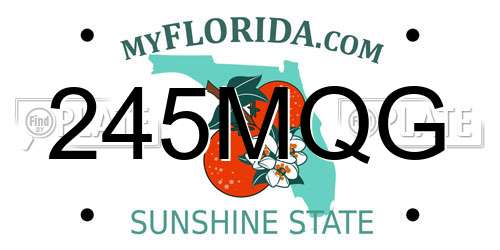245MQG Florida License Plate