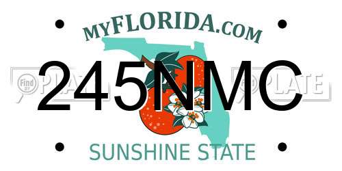 245NMC Florida License Plate