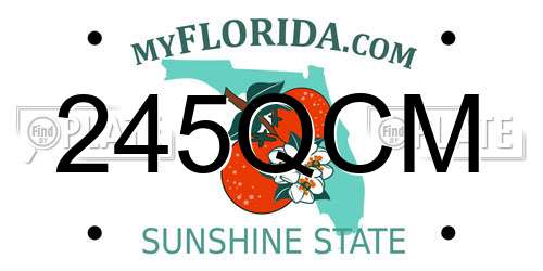 245QCM Florida License Plate
