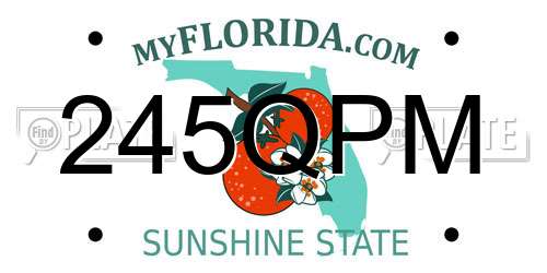 245QPM Florida License Plate