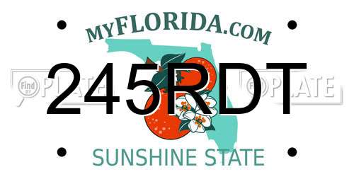 245RDT Florida License Plate
