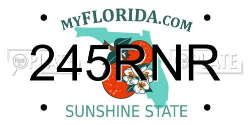 245RNR Florida License Plate