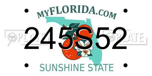 245S52 Florida License Plate
