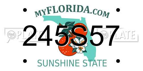 245S57 Florida License Plate