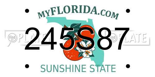245S87 Florida License Plate