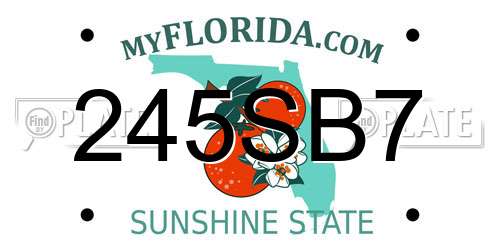 245SB7 Florida License Plate