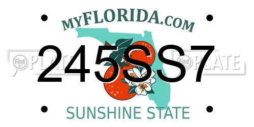 245SS7 Florida License Plate