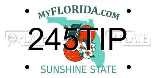 245TIP Florida License Plate