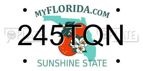 245TQN Florida License Plate