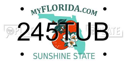 245TUB Florida License Plate