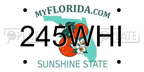 245WHI Florida License Plate