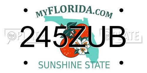 245ZUB Florida License Plate