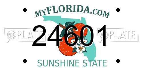 24601 Florida License Plate