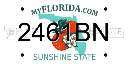 2461BN Florida License Plate