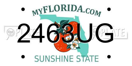2463UG Florida License Plate