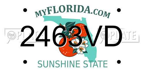 2463VD Florida License Plate