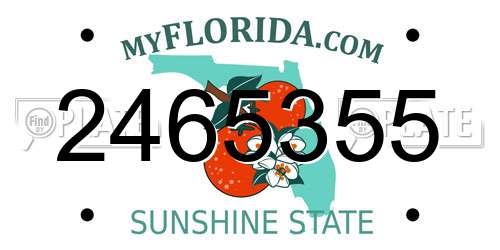 2465355 Florida License Plate