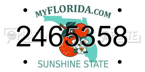 2465358 Florida License Plate