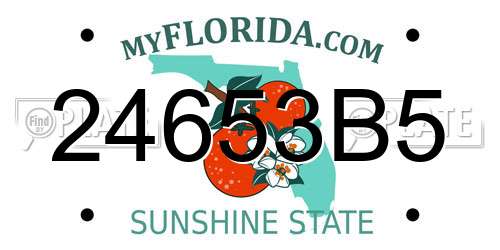 24653B5 Florida License Plate