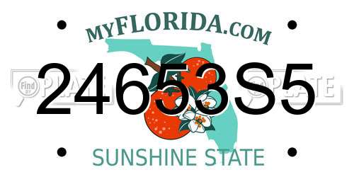 24653S5 Florida License Plate