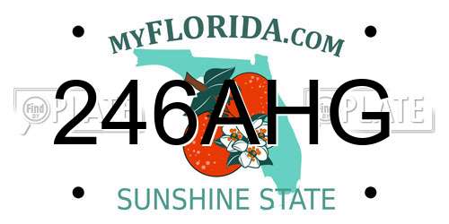 246AHG Florida License Plate