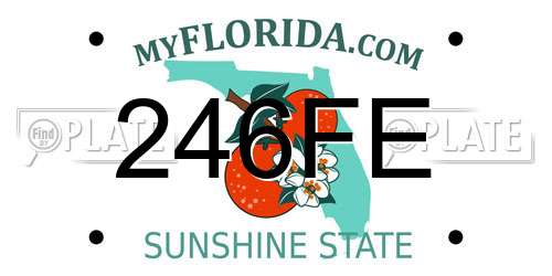246FE Florida License Plate