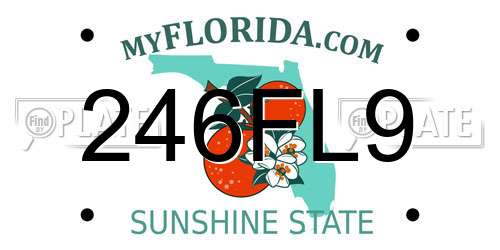 246FL9 Florida License Plate